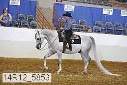 14r12_5853 proof