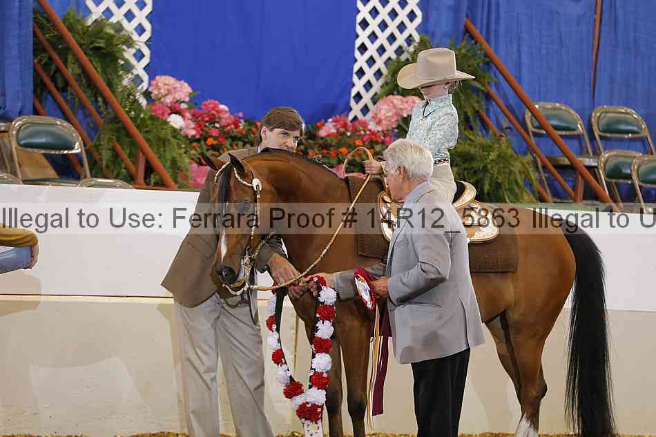 Proof 14r12_5863