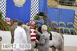 14r12_5870 proof