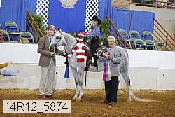 14r12_5874 proof
