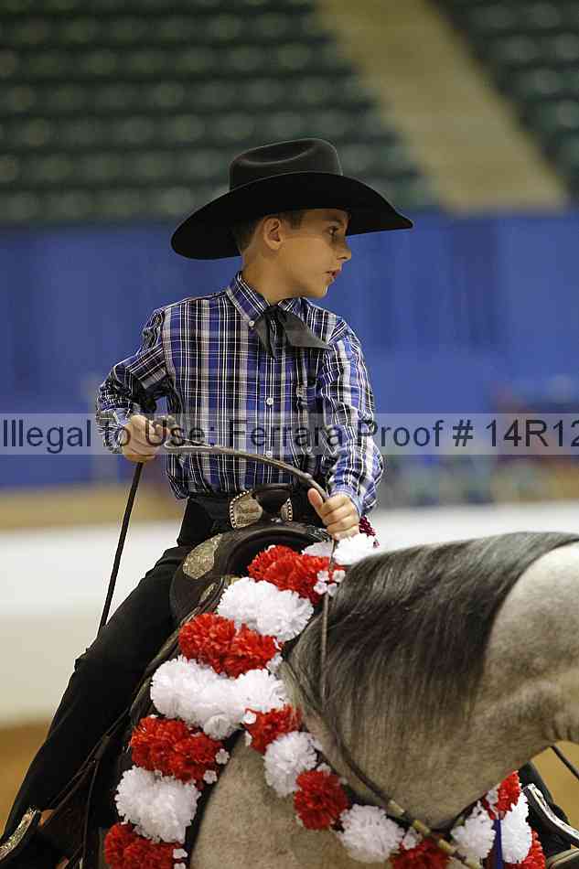 Proof 14r12_5875
