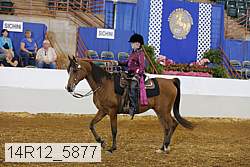 14r12_5877 proof