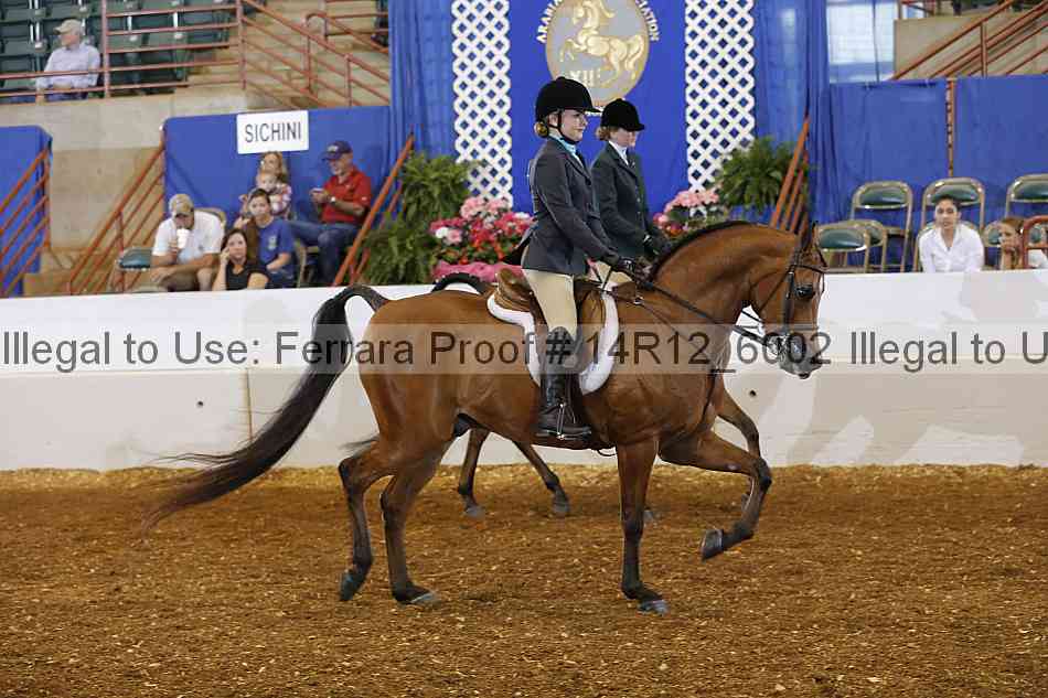 Proof 14r12_6002