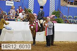 14r12_6010 proof