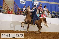 14r12_6072 proof