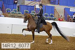 14r12_6077 proof