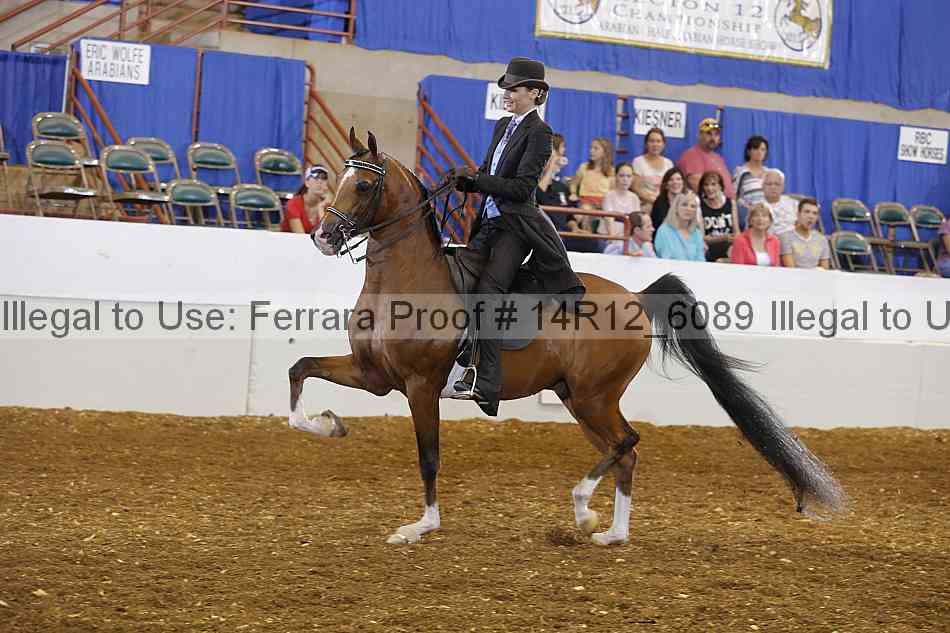 Proof 14r12_6089
