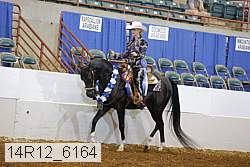 14r12_6164 proof