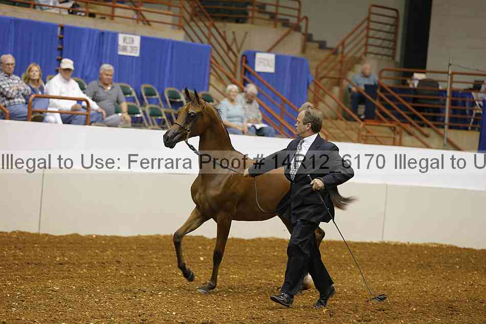 Proof 14r12_6170