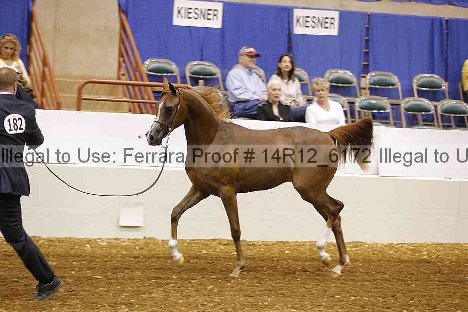 Proof 14r12_6172