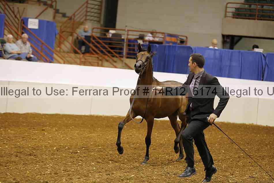 Proof 14r12_6174