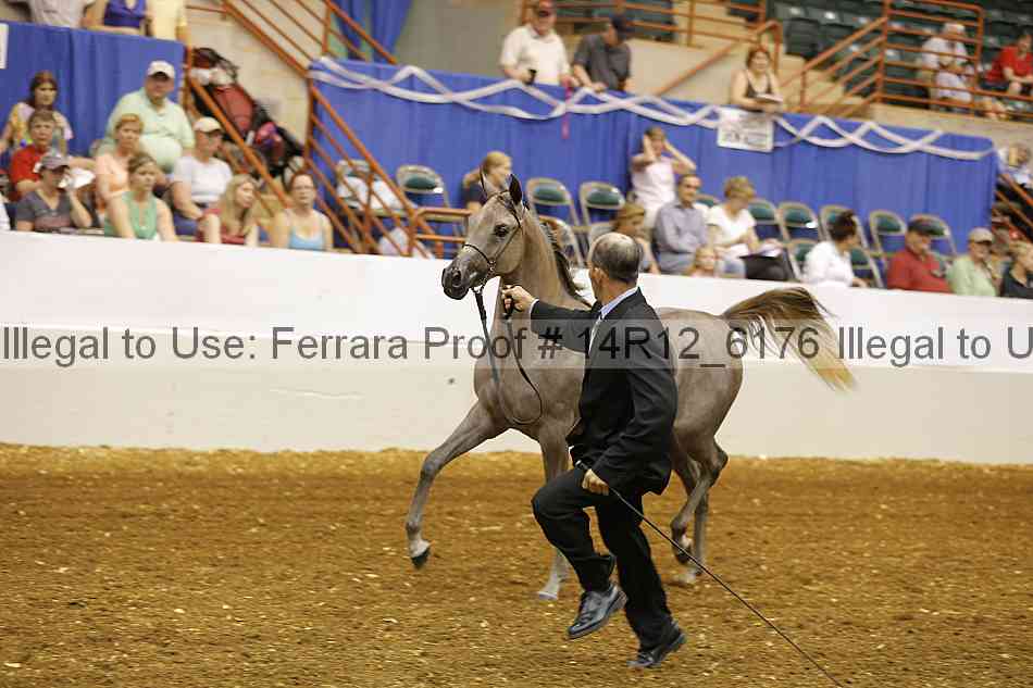 Proof 14r12_6176