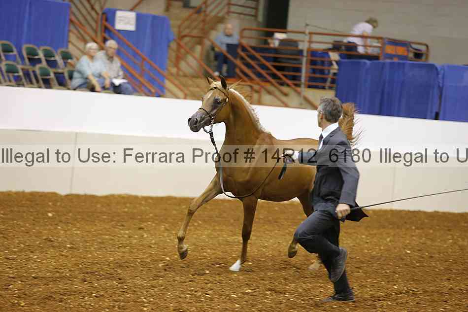 Proof 14r12_6180