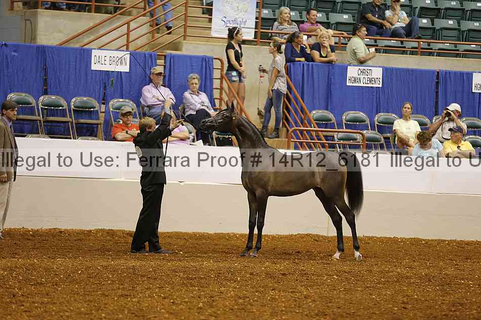 Proof 14r12_6181