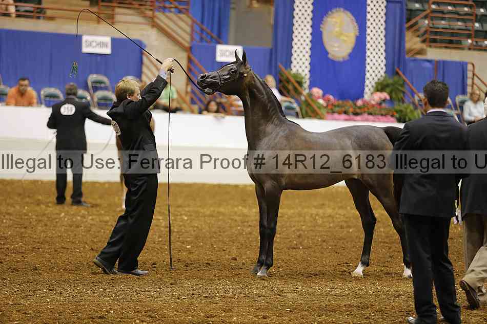 Proof 14r12_6183