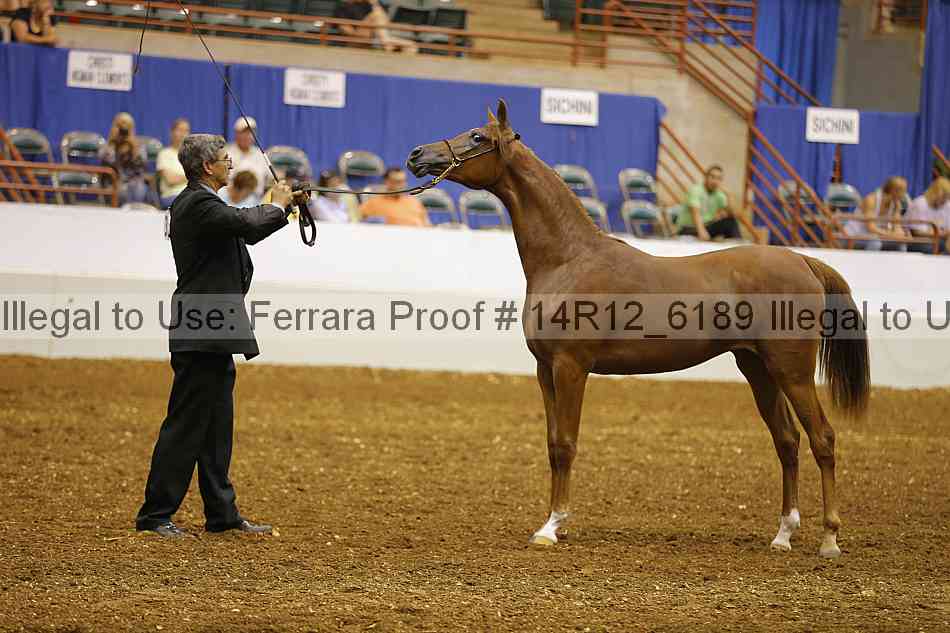 Proof 14r12_6189