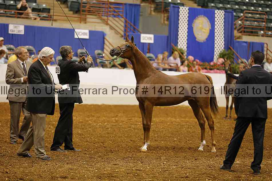 Proof 14r12_6191