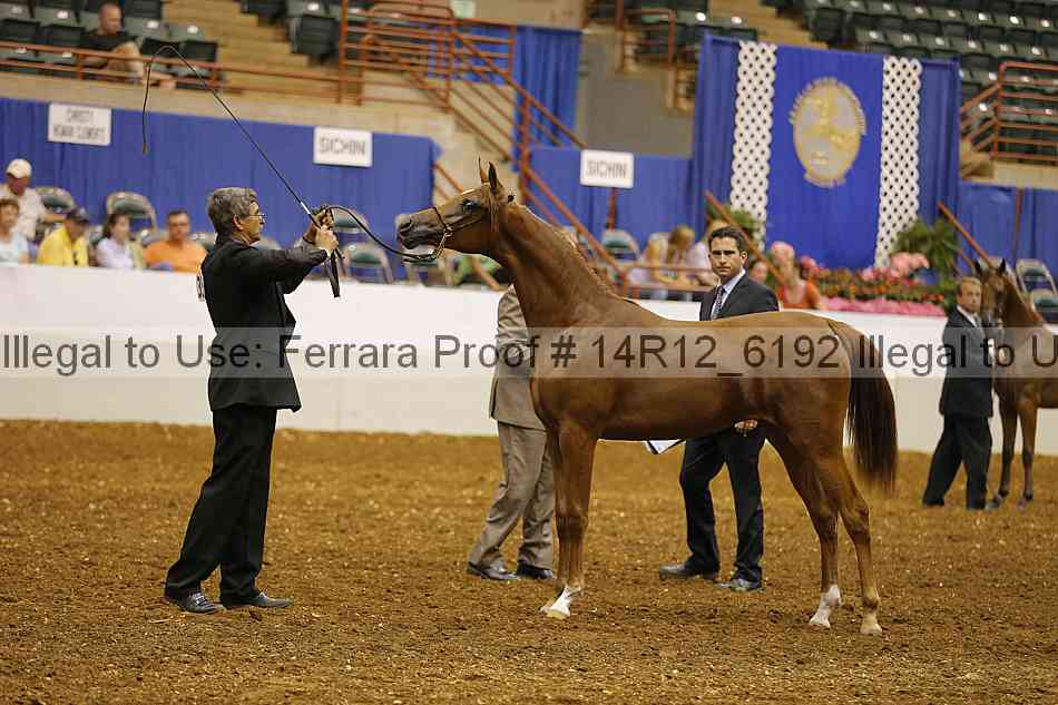 Proof 14r12_6192