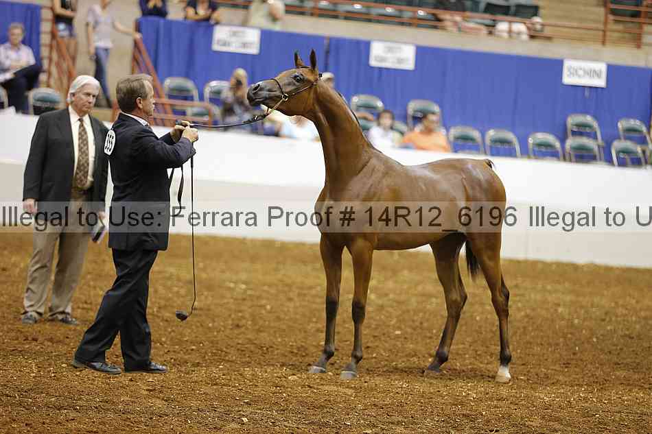 Proof 14r12_6196