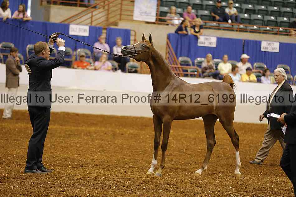 Proof 14r12_6199