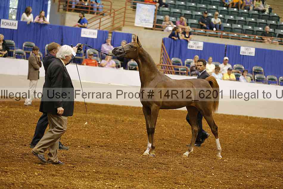 Proof 14r12_6201