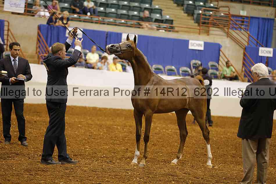 Proof 14r12_6202