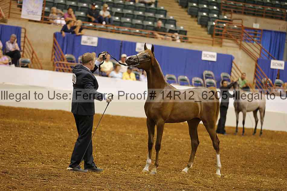 Proof 14r12_6205