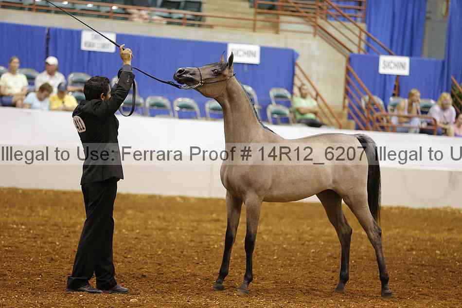 Proof 14r12_6207