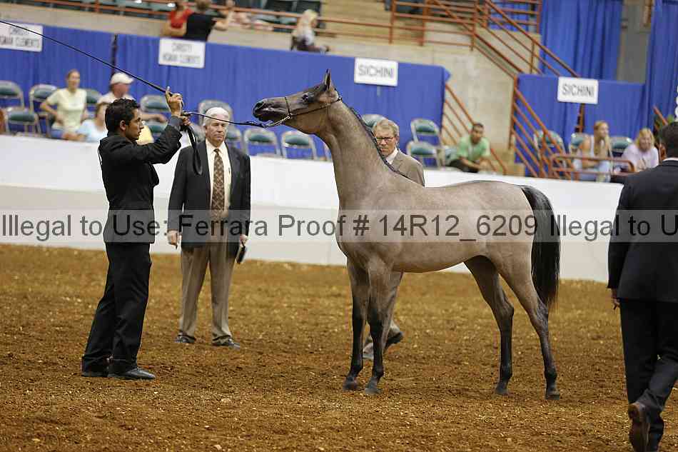 Proof 14r12_6209