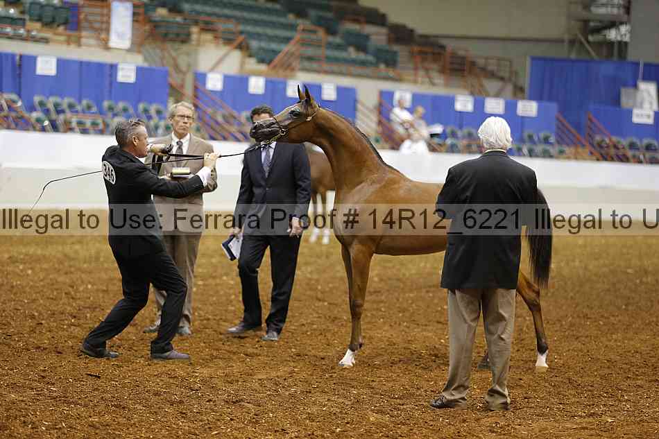 Proof 14r12_6221