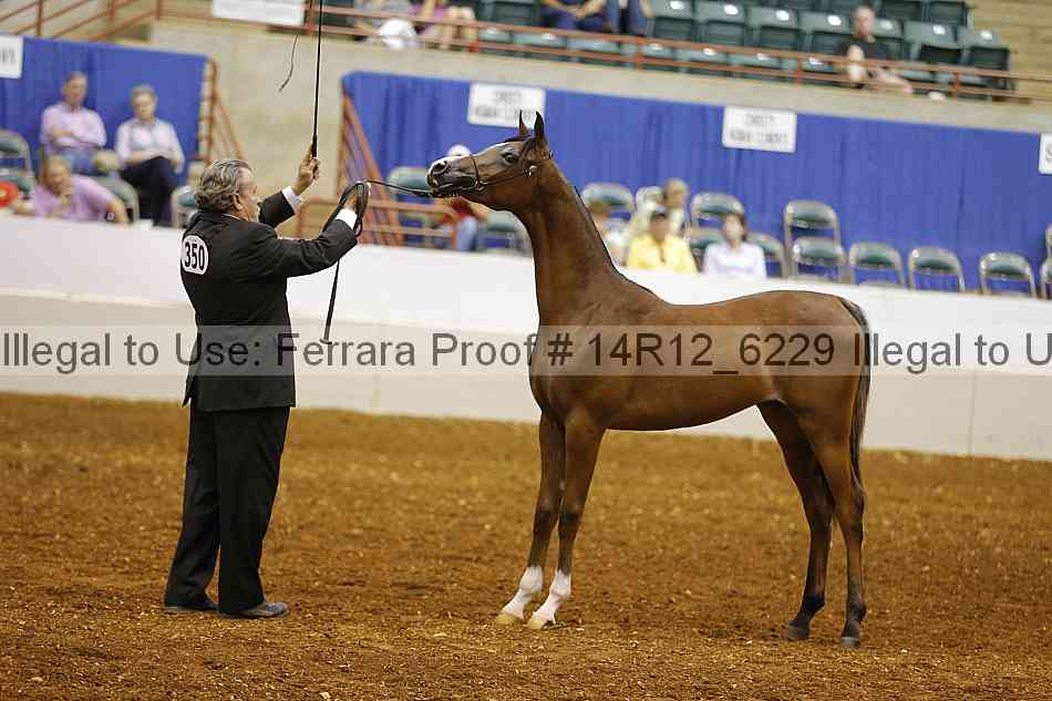 Proof 14r12_6229