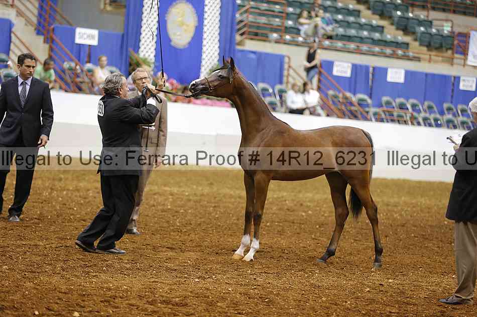 Proof 14r12_6231