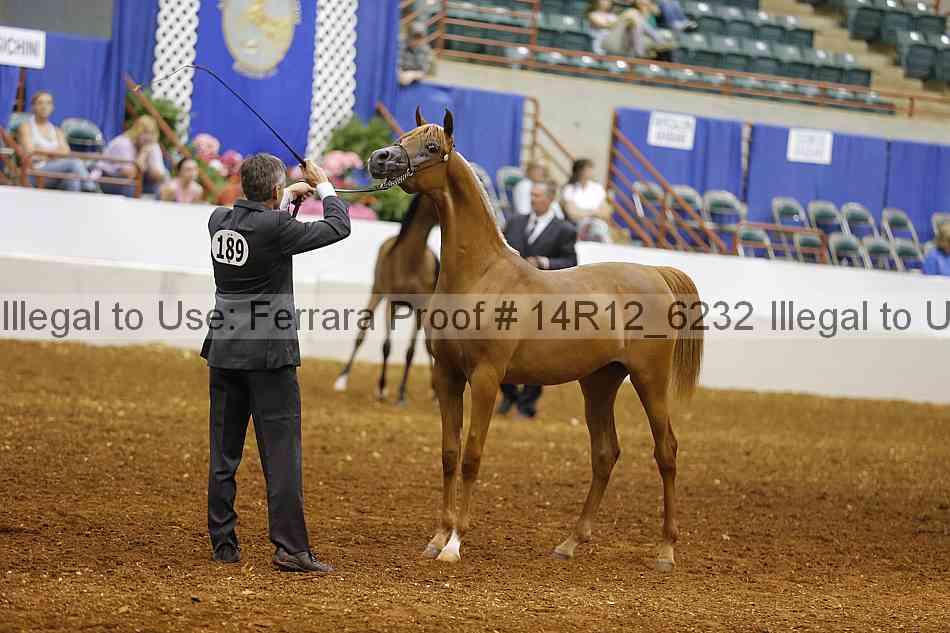 Proof 14r12_6232