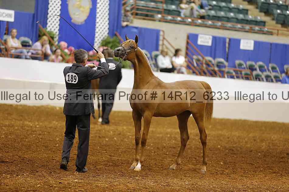 Proof 14r12_6233