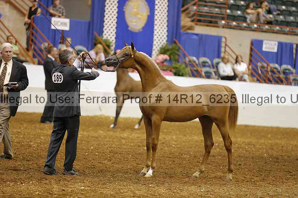 Proof 14r12_6235