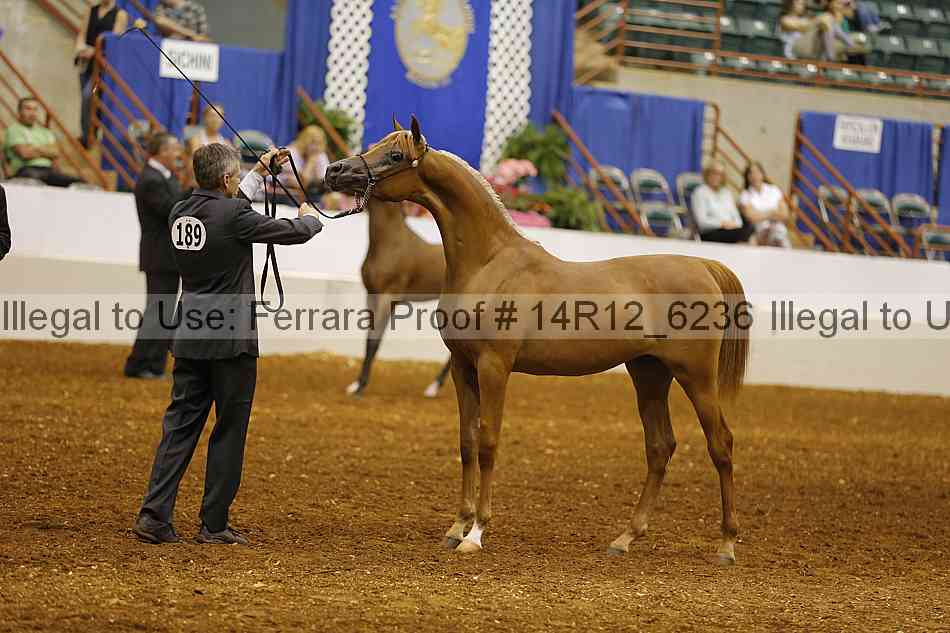 Proof 14r12_6236