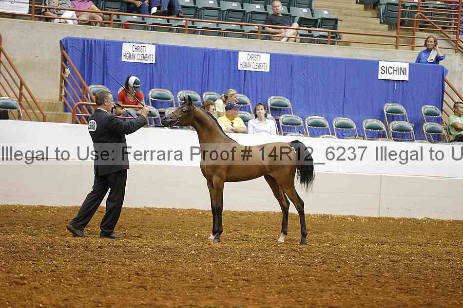Proof 14r12_6237