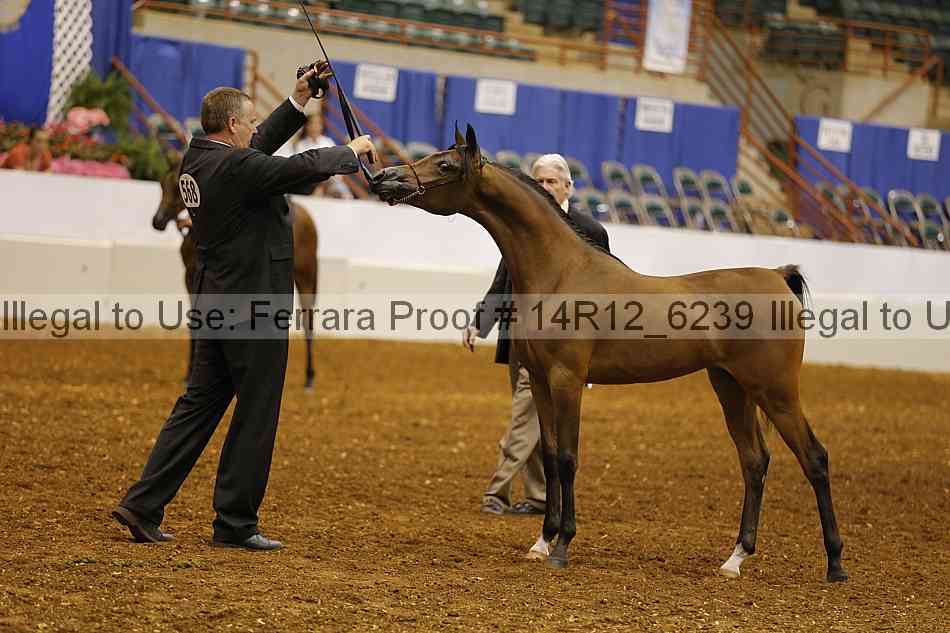 Proof 14r12_6239