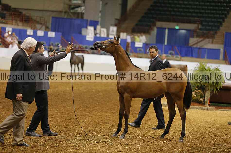 Proof 14r12_6244