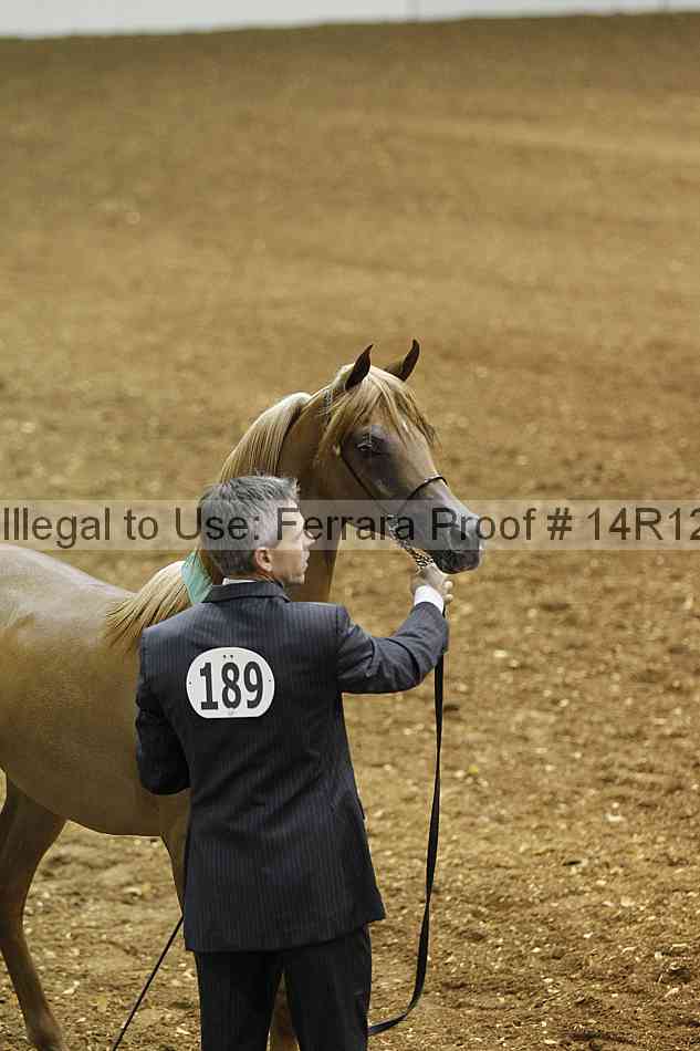 Proof 14r12_6248