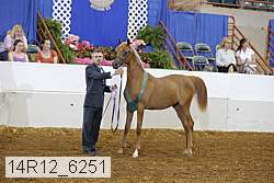 14r12_6251 proof