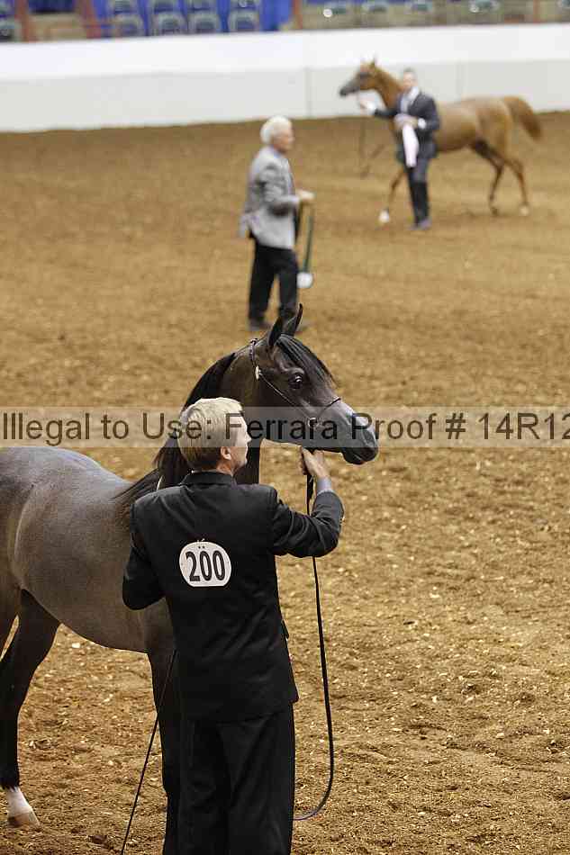 Proof 14r12_6252
