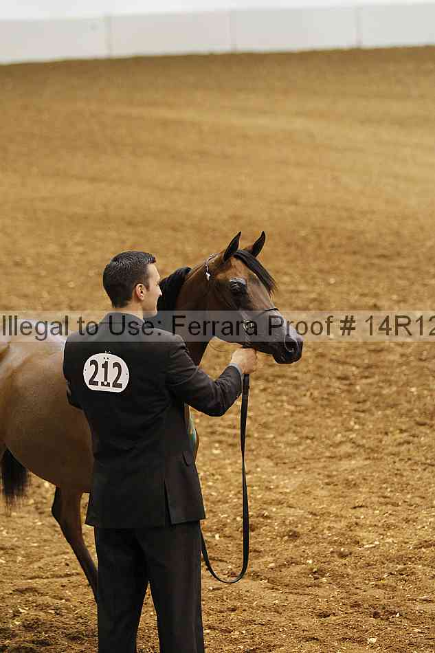 Proof 14r12_6255