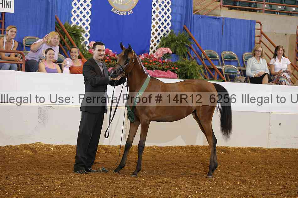 Proof 14r12_6256