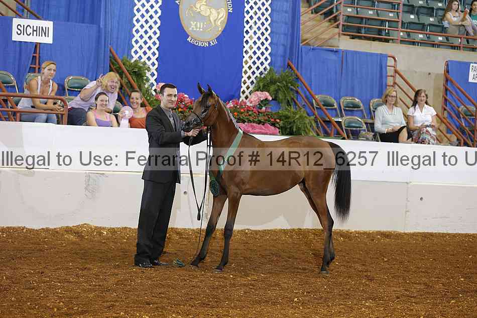 Proof 14r12_6257