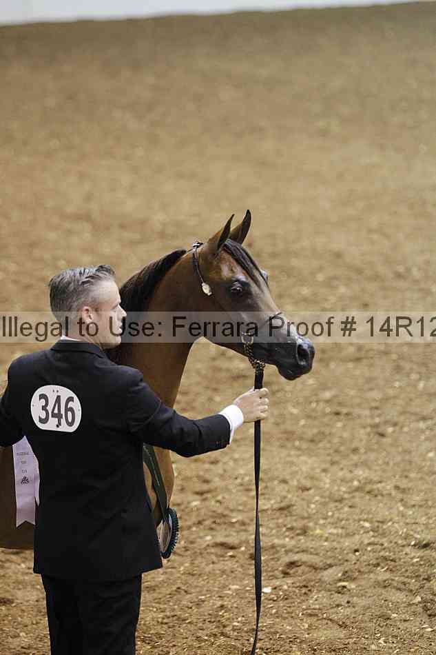 Proof 14r12_6258