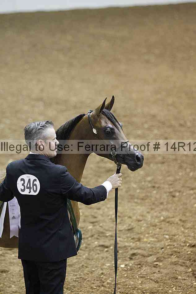 Proof 14r12_6259