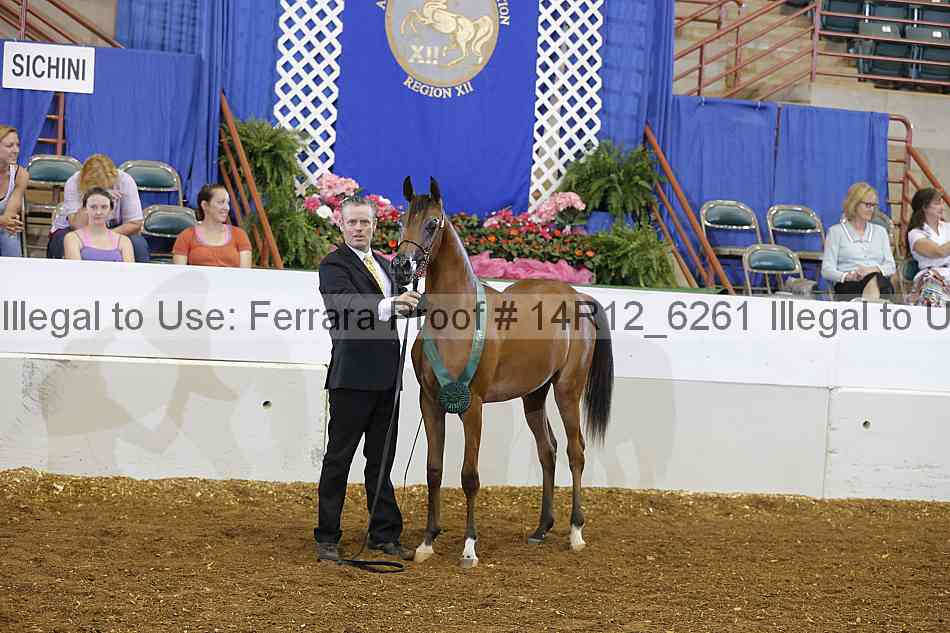 Proof 14r12_6261