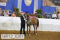 14r12_6261 proof