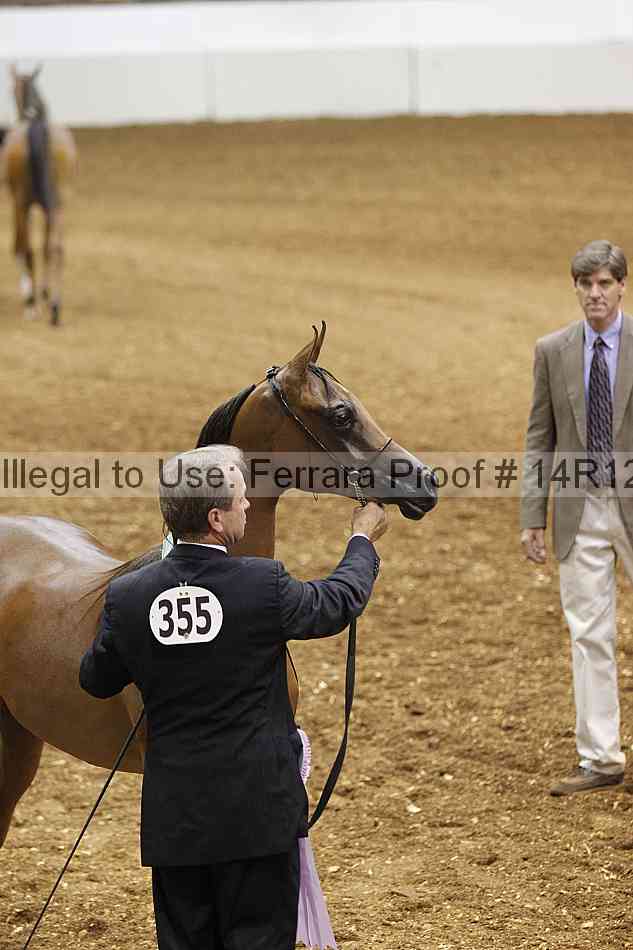 Proof 14r12_6262